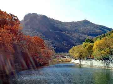 澳门二四六天天彩图库，股市论坛